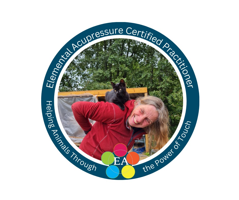 _Practitioner_Hannah_Meijlink